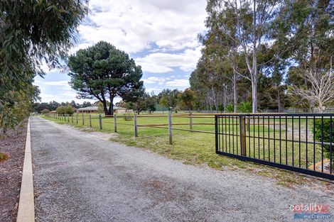 Property photo of 81 Conductor Retreat Mariginiup WA 6078