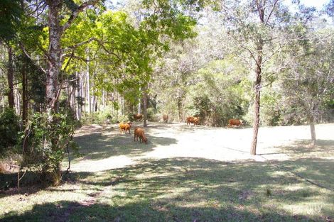 124 Upper Cedar Creek Rd, Elaman Creek, QLD 4552