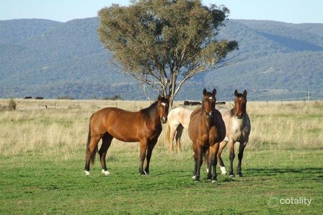 1708 Oxley Hwy, Wallamore, NSW 2340