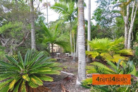Property photo of 7 Roebuck Street Cooloola Cove QLD 4580