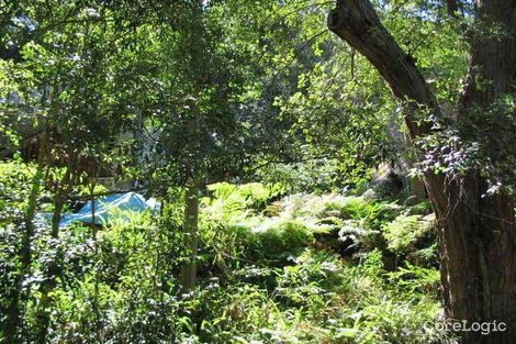 Property photo of 33 Raymond Road Phegans Bay NSW 2256