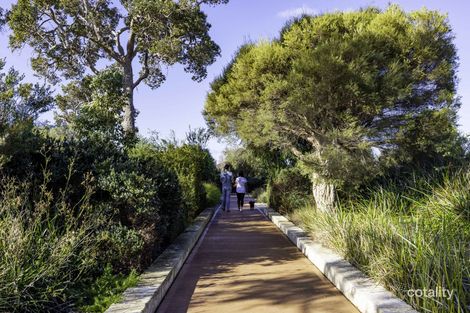 14 Threefin Cct, Vasse, WA 6280