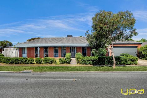 8 Elpara Way, Hampton Park, VIC 3976