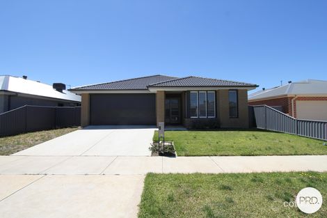 8 Monaghan Tce, Alfredton, VIC 3350