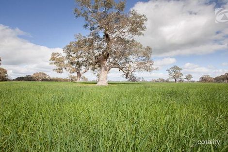 6799 Frances Rd, Kybybolite, SA 5262