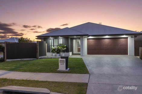 Property photo of 125 Adrian Circuit Nirimba QLD 4551