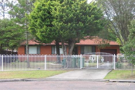Property photo of 47 Seawind Terrace Berkeley Vale NSW 2261