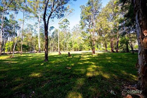 Property photo of 43 Robinsons Road Eudlo QLD 4554