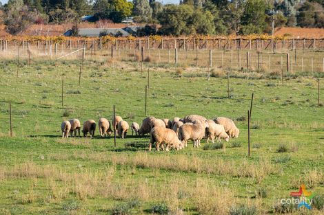 46 Cassia St N, Red Cliffs, VIC 3496