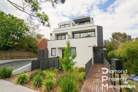 6/1687 Malvern Rd, Glen Iris, VIC 3146