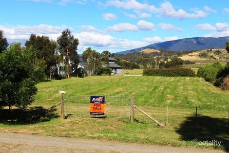 Property photo of 41 Wylie Street Taggerty VIC 3714