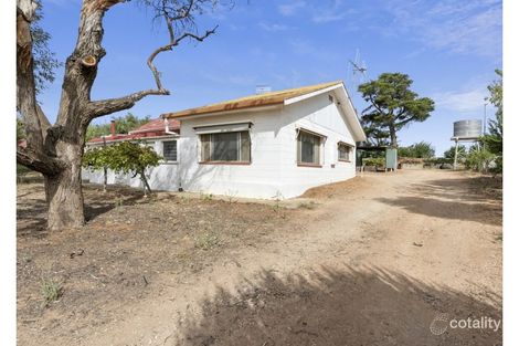 Property photo of 125 Cucumunga Street Renmark West SA 5341