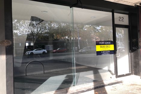 22 Bridge Rd, Richmond, VIC 3121