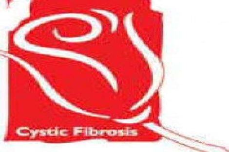 Property photo of 14 Gray Street Kiama Downs NSW 2533