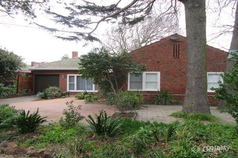 Property photo of 3 Plowman Place Frankston VIC 3199