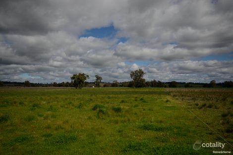 Property photo of 10/453 Spains Lane Quirindi NSW 2343