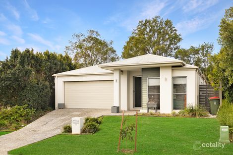Property photo of 33 Meath Crescent Nudgee QLD 4014