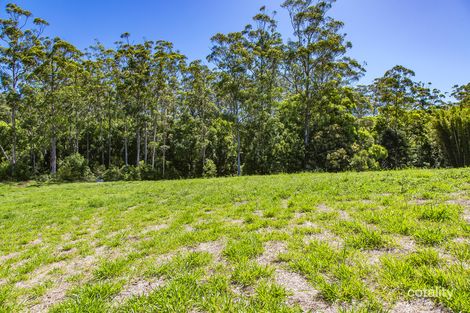 Property photo of 779 Cooloolabin Road Cooloolabin QLD 4560