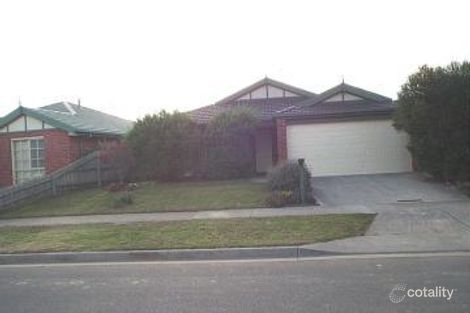 2/153 Waradgery Dr, Rowville, VIC 3178