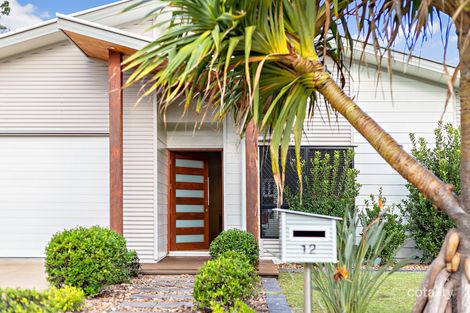 Property photo of 12 Healy Street Caboolture QLD 4510