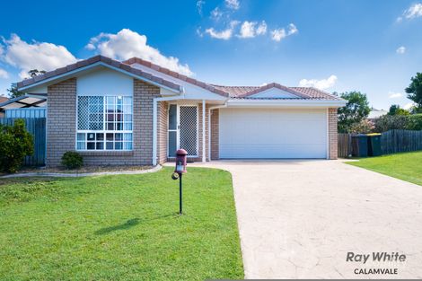 Property photo of 6 Vanda Close Drewvale QLD 4116