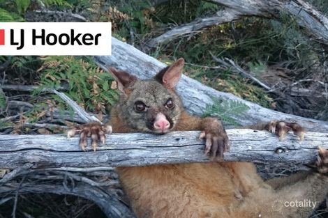 913 Coles Bay Rd, Coles Bay, TAS 7215