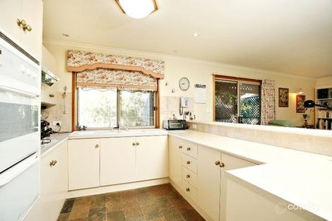 Property photo of 25 Dundalk Avenue McCracken SA 5211
