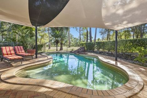 Property photo of 245 Napper Road Arundel QLD 4214