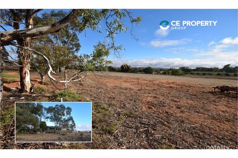 997 Monkey Corner Rd, Cambrai, SA 5353