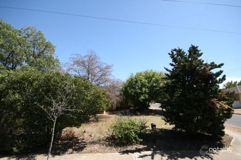 Property photo of 22 Allambee Avenue Edwardstown SA 5039