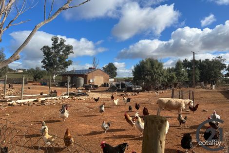Property photo of 995 Australia Plains Road Australia Plains SA 5374