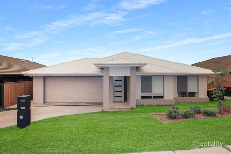 Property photo of 100 Arrowtail Street Chisholm NSW 2322