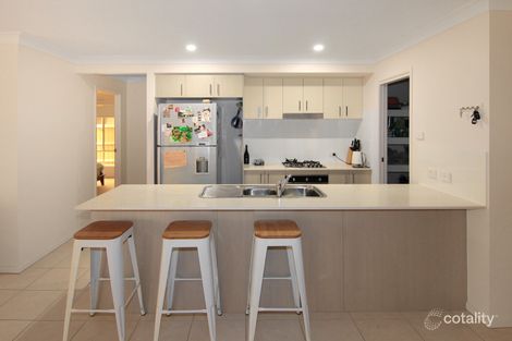 Property photo of 100 Arrowtail Street Chisholm NSW 2322