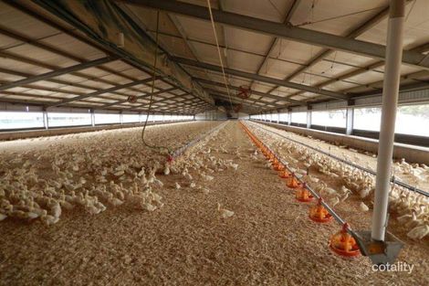 Property photo of 45 Ramsay Street Nhill VIC 3418