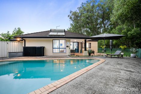 Property photo of 19 Tuckeroo Place Reedy Creek QLD 4227