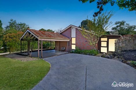 Property photo of 231 Hawthorn Road Vermont South VIC 3133