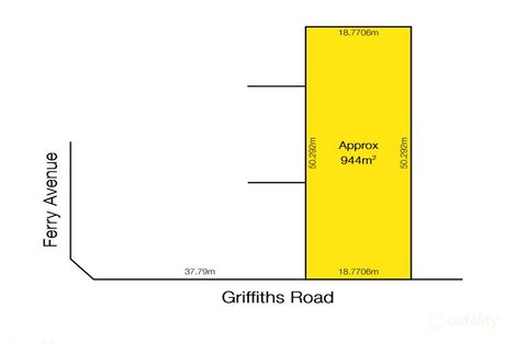 Property photo of 19 Griffiths Road Plympton Park SA 5038