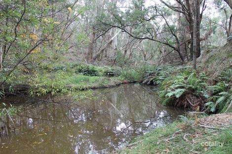 Property photo of 929 Little River Road Braidwood NSW 2622