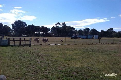 Property photo of 546 Third Street Yongala SA 5493