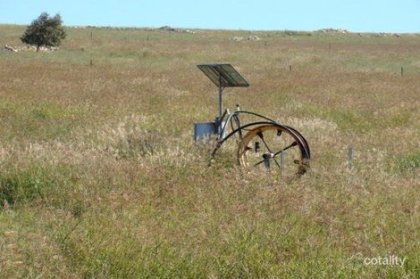 Property photo of 169 Bookara Road East Bookara WA 6525