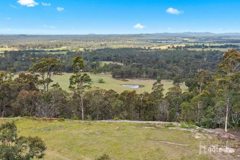 Property photo of 149 Mf1 Road Millfield NSW 2325