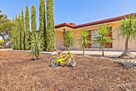 Property photo of 21 Hindmarsh Boulevard Evanston Gardens SA 5116