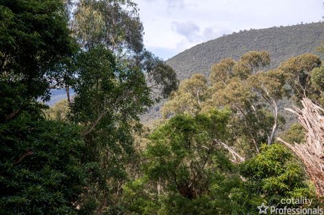 Property photo of 34 William Crescent Millgrove VIC 3799