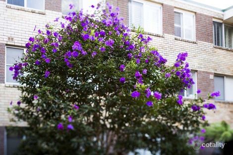 Property photo of 13/9 Bortfield Drive Chiswick NSW 2046