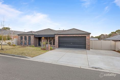 Property photo of 6 Cecile Court Ballarat East VIC 3350