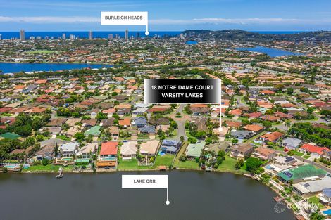 Property photo of 18 Notre Dame Court Varsity Lakes QLD 4227