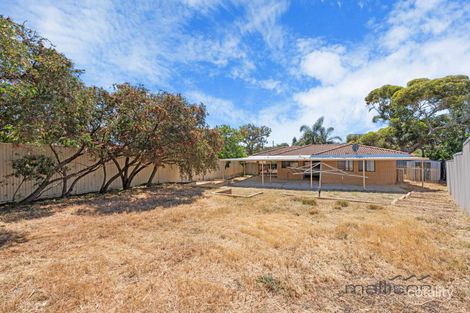Property photo of 17 Pinewood Green Mirrabooka WA 6061