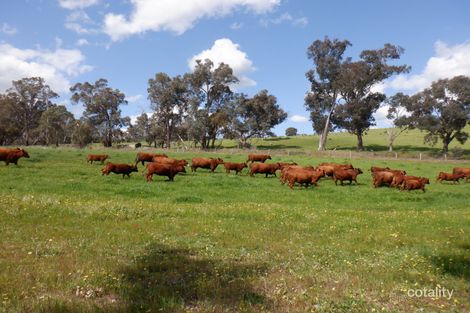 66 Carbunup Brook Rd, Sunnyside, WA 6256