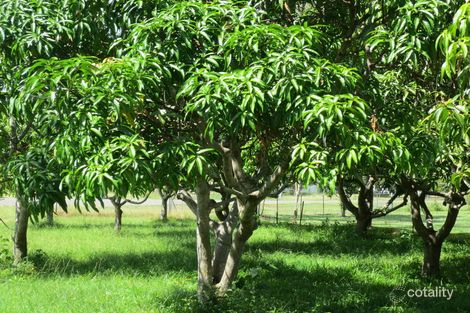 Property photo of 11 Lorne Court Bluewater QLD 4818