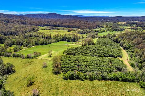 Property photo of 174 Mitchells Road Valla NSW 2448